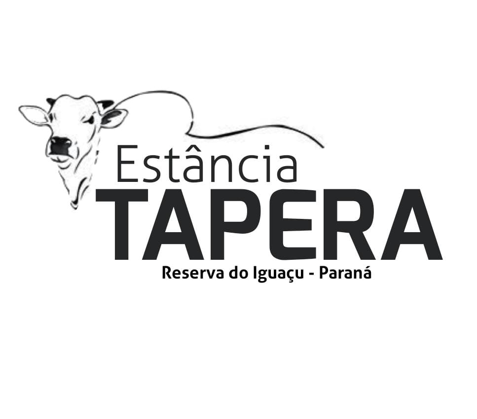 Cliente 6